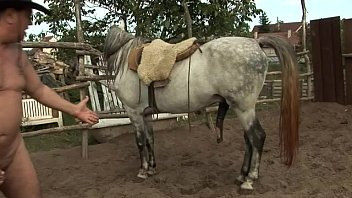 Play Orsay peed in farm 2