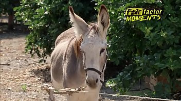 Play Semen de Burro, Gokkun, tragando leche, Fear Factor Donkey Juice