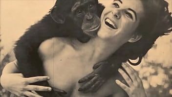 Play Dark Lantern Entertainment presents 'Women With Animals'